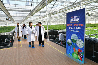 2019北京跨年促銷節(jié)品質(zhì)升級 水培蔬菜點綴綠色生活