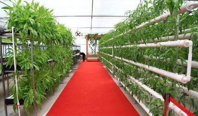 鄉村旅游的常見六大模式,有空可以去體驗體驗