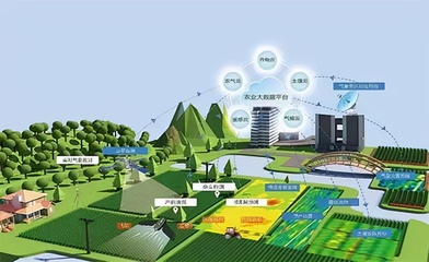 「觀點」盤和林|數字賦能鄉村振興,融合生產多個環節重塑農業