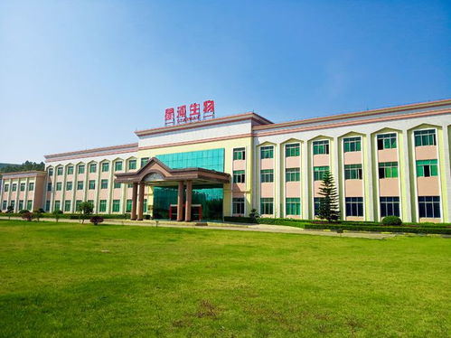 走進大灣區 菜籃子 生產基地 粵北首家工廠化栽培的食用菌企業