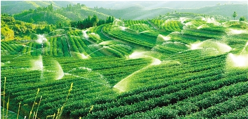 農業生態循環,浙江領跑全國