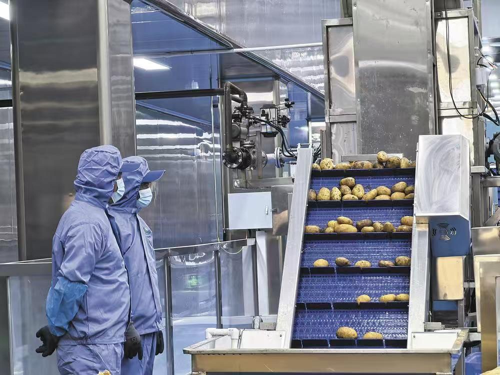 樂都:東西部協(xié)作薯?xiàng)l工廠投產(chǎn)