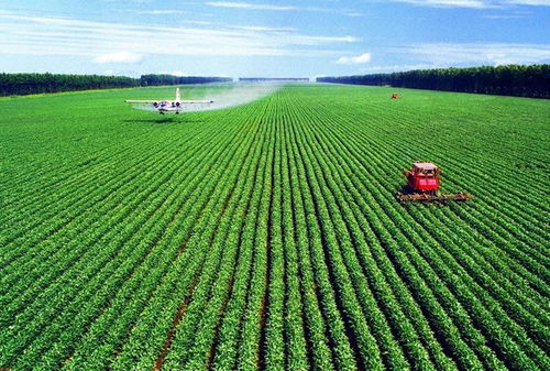 綠色農(nóng)業(yè)網(wǎng) 互聯(lián)網(wǎng)助力農(nóng)業(yè)發(fā)展,營造嶄新業(yè)態(tài)