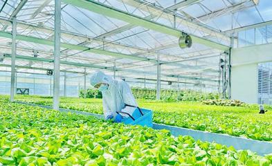 日銷超3噸!余姚這個(gè)植物&ldquo;夢工廠&rdquo;解鎖四季豐收密碼