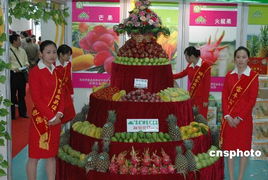 累計(jì)1480余噸 統(tǒng)計(jì)顯示深圳成最大臺(tái)果進(jìn)口口岸圖