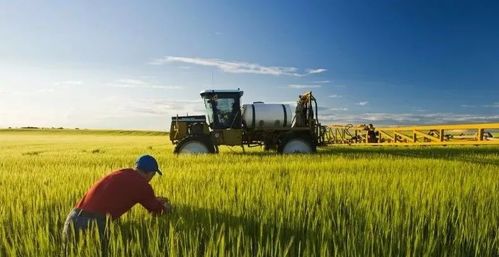 加拿大農(nóng)業(yè)食品行業(yè)移民試點(diǎn)計(jì)劃afip公布細(xì)則