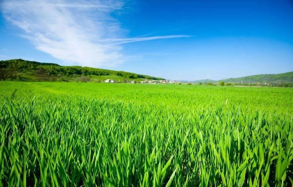 政策動態(tài) | 農(nóng)業(yè)部辦公廳關(guān)于做好第二次全國農(nóng)業(yè)污染源普查有關(guān)工作的通知