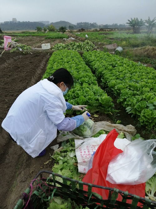 江門(mén)開(kāi)平市人民政府門(mén)戶網(wǎng)站