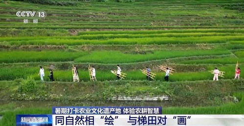 打卡農業(yè)文化遺產地 他們把研學活動選在山水林田間