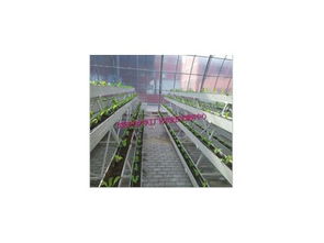 豐產(chǎn)劑2號(hào)產(chǎn)品信息及沈陽(yáng)市農(nóng)業(yè)大學(xué)工廠化農(nóng)業(yè)技術(shù)服務(wù)中心介紹