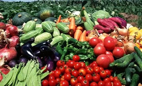 商務(wù)部關(guān)于做好農(nóng)產(chǎn)品產(chǎn)銷對(duì)接工作的通知