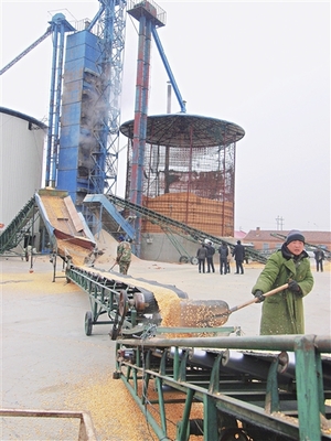 小型稻谷烘干塔廠家與價格概覽——神華機械廠家在農業機械領域的優勢