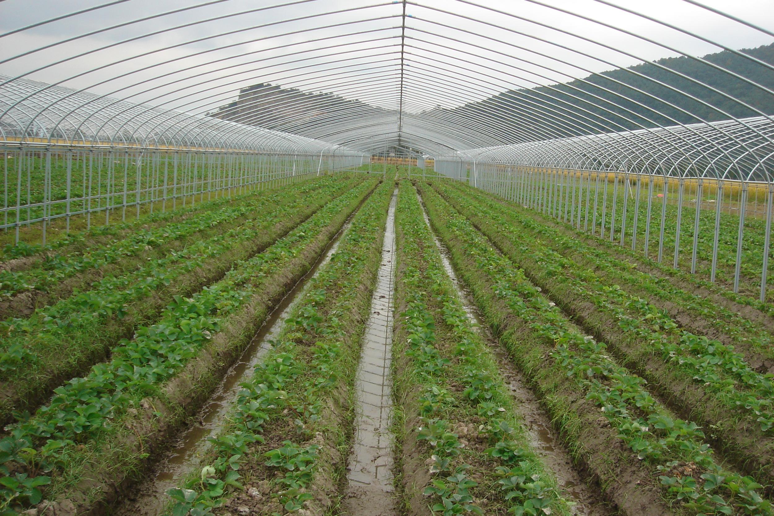 平陽(yáng)三農(nóng) 創(chuàng)新引領(lǐng)，譜寫三農(nóng)發(fā)展新篇章